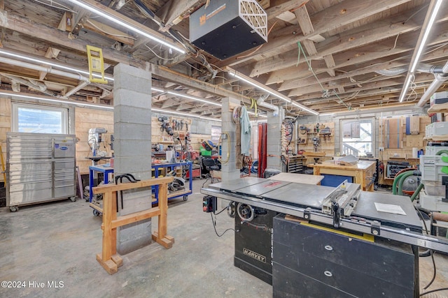 basement featuring a wealth of natural light and a workshop area