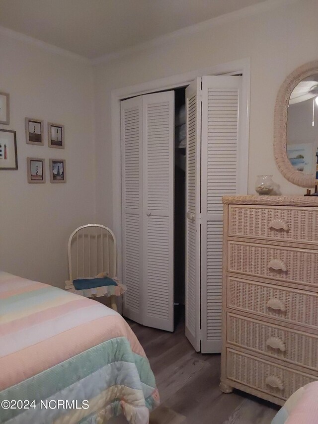 bedroom featuring dark hardwood / wood-style floors