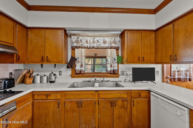 kitchen with cooktop, sink, dishwasher, range hood, and ornamental molding