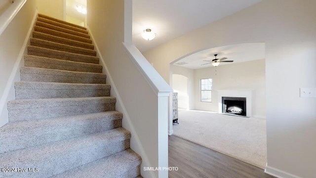 stairway with hardwood / wood-style flooring and ceiling fan