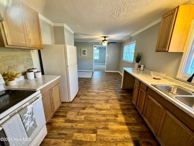 kitchen featuring ceiling fan, ornamental molding, white appliances, and light wood-type flooring