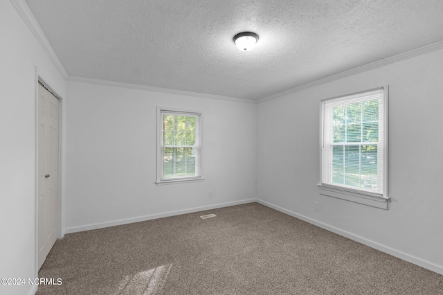 carpeted spare room featuring a healthy amount of sunlight, a textured ceiling, and ornamental molding