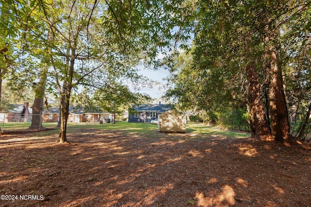 view of yard featuring a storage unit