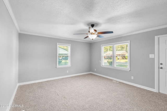 carpeted spare room featuring a wealth of natural light, a textured ceiling, and ornamental molding