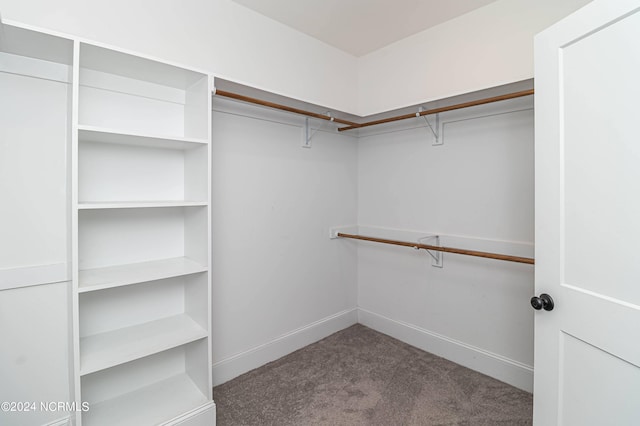 walk in closet with carpet floors