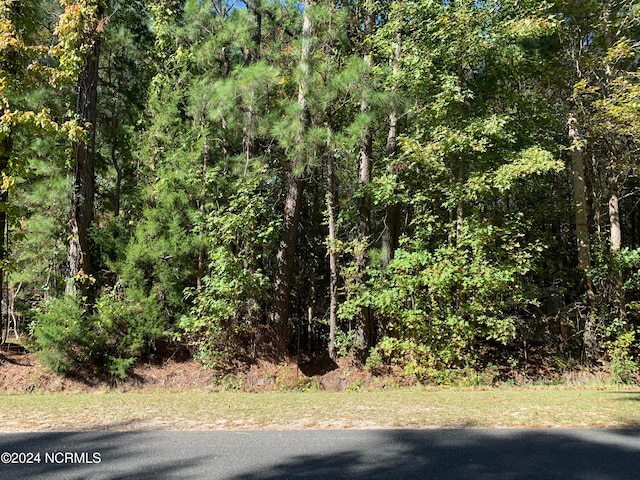 LotG Tobes Road G, Bolivia NC, 28422 land for sale