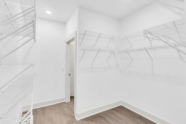 spacious closet featuring wood finished floors