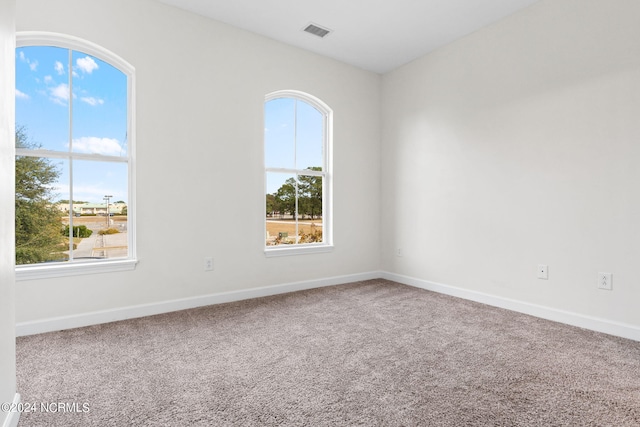 empty room featuring carpet and a wealth of natural light