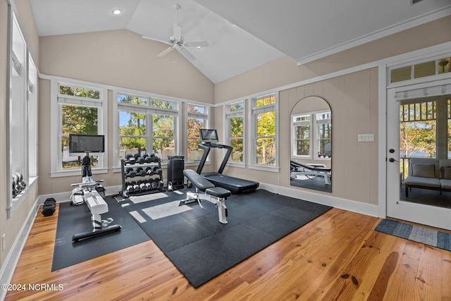 workout room featuring wood-type flooring, high vaulted ceiling, and ceiling fan