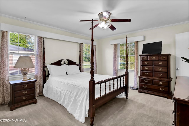 carpeted bedroom with multiple windows, crown molding, and ceiling fan