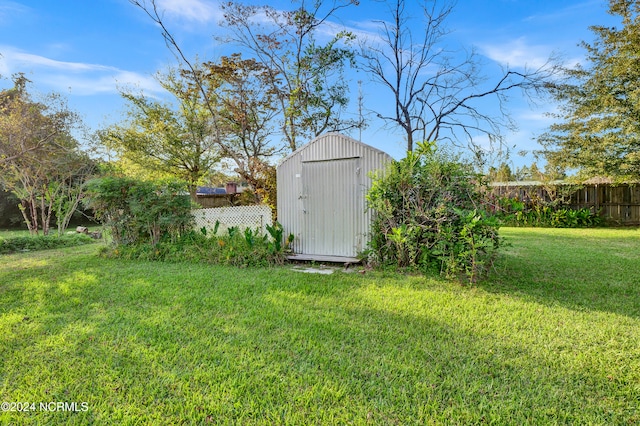 view of yard with a storage unit