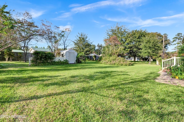 view of yard with a shed