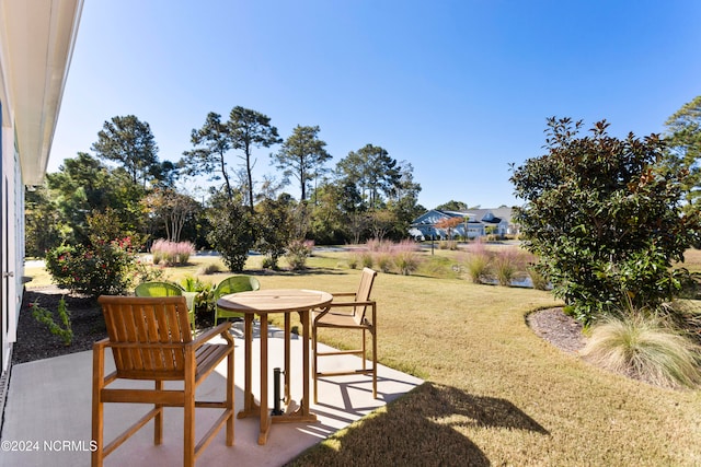 rear view of property featuring a lawn