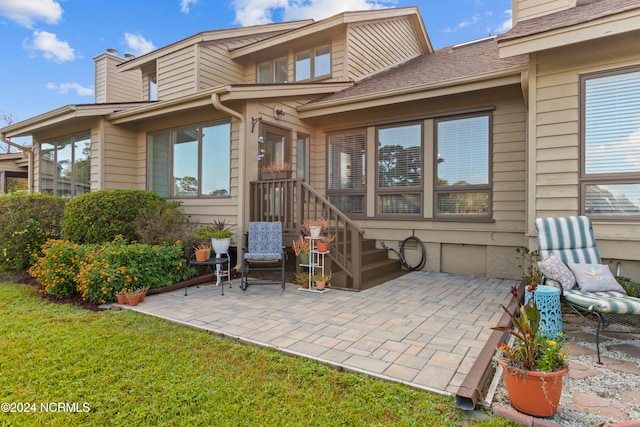 back of house featuring a patio area and a lawn