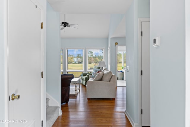 corridor featuring dark wood-type flooring