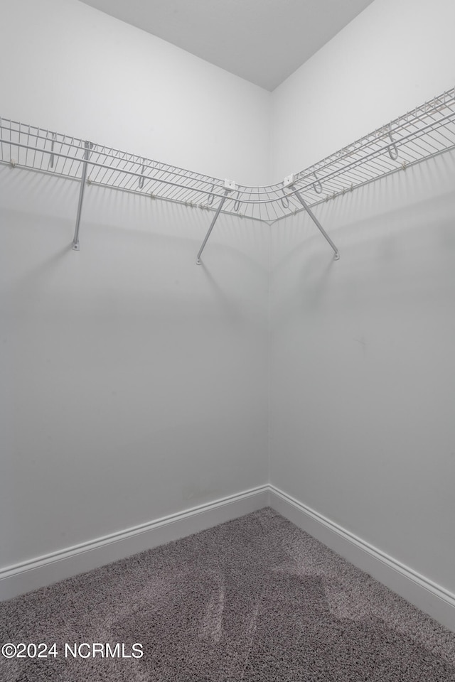 walk in closet with carpet floors