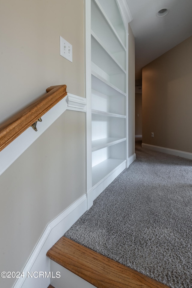 interior details featuring carpet flooring