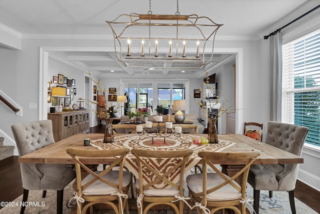 dining area featuring dark wood-type flooring, a healthy amount of sunlight, and ornamental molding