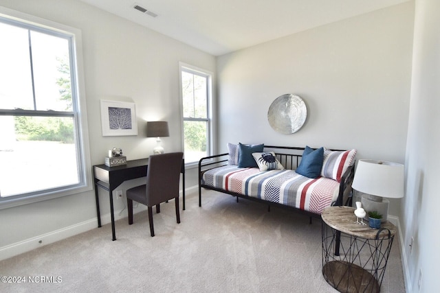 3965 Pepperberry Ln, Southport, NC 28461 - carpeted bedroom with multiple windows