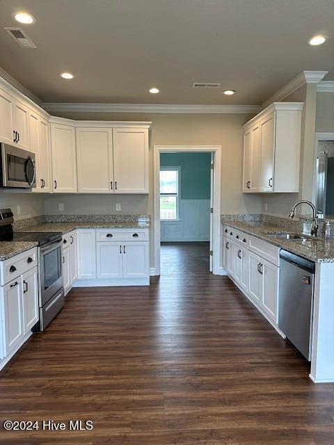 kitchen with sink, dark hardwood / wood-style flooring, stone countertops, white cabinets, and appliances with stainless steel finishes