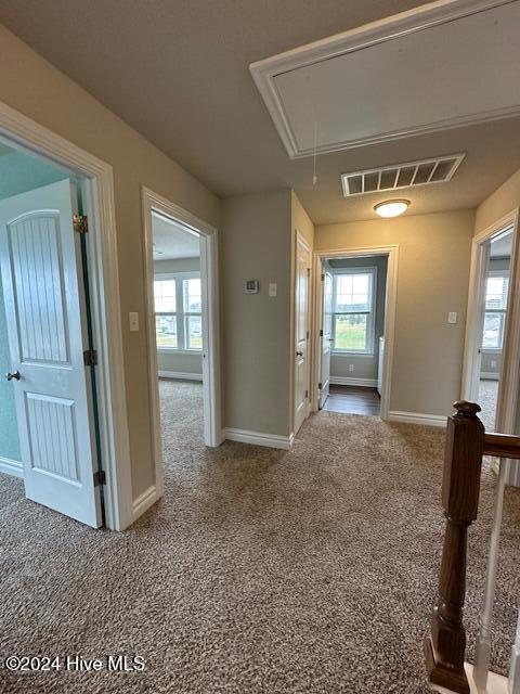 corridor with carpet flooring