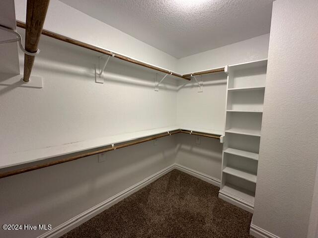 walk in closet featuring dark colored carpet