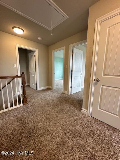 hall featuring carpet floors