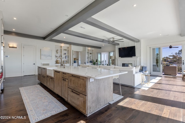 kitchen with sink, dark wood-type flooring, and a large island with sink