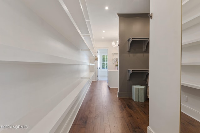 hallway with a chandelier and dark wood-type flooring