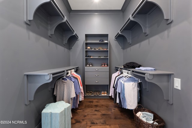 spacious closet featuring dark hardwood / wood-style flooring