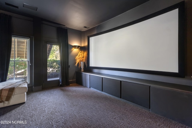 cinema room featuring carpet