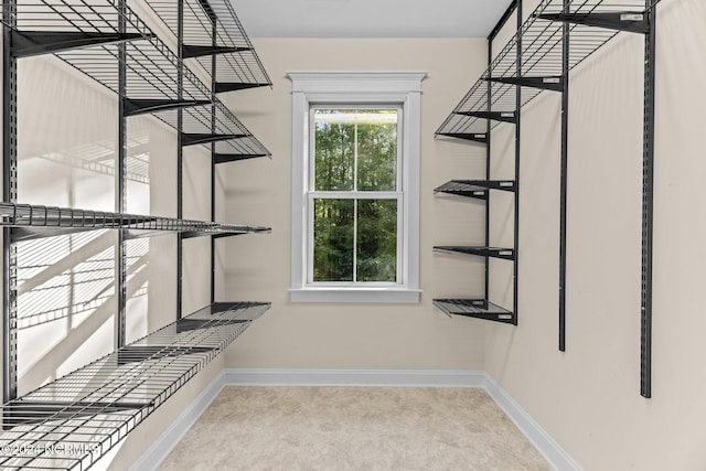 walk in closet with light colored carpet