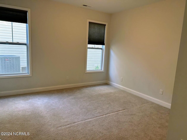 unfurnished room featuring light carpet and a healthy amount of sunlight