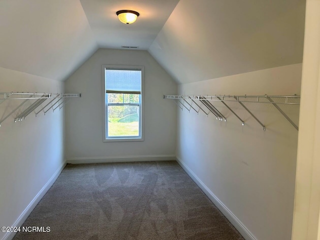 spacious closet featuring vaulted ceiling and carpet floors