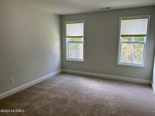 empty room featuring carpet floors and plenty of natural light