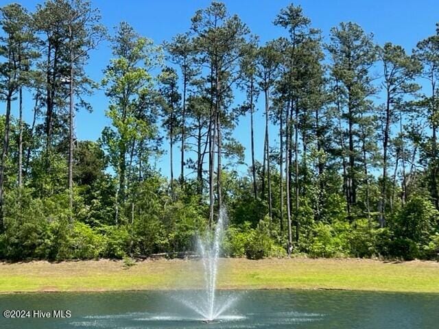 view of water feature