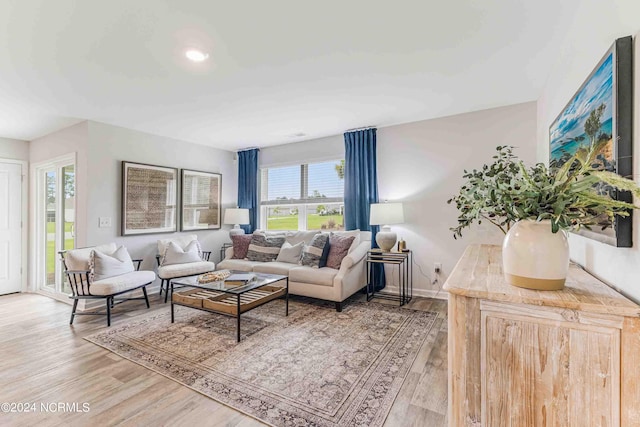 living room featuring hardwood / wood-style flooring