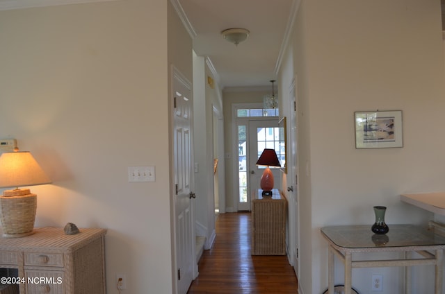 hallway with ornamental molding and dark hardwood / wood-style flooring