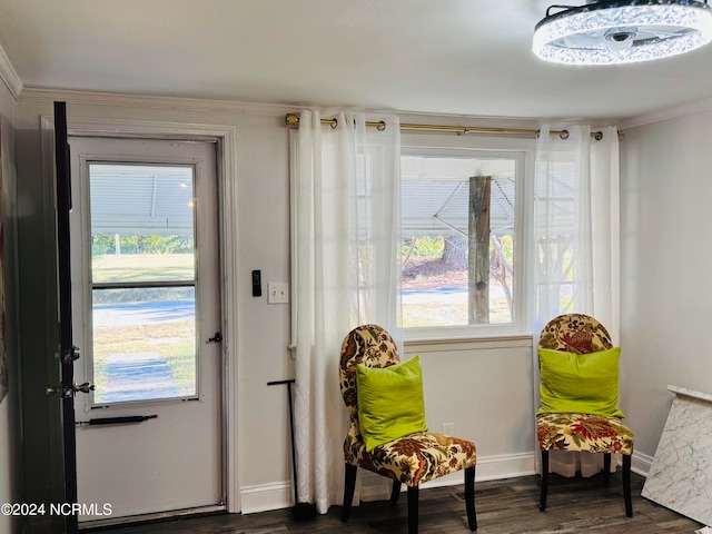 doorway featuring ornamental molding, dark hardwood / wood-style flooring, and plenty of natural light