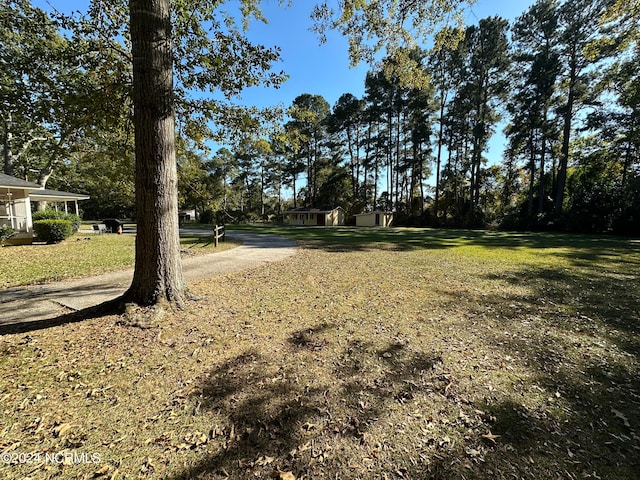 view of yard with a storage unit