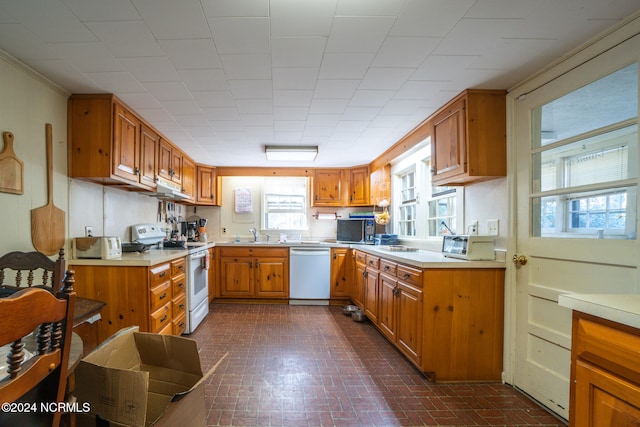 kitchen featuring range hood, ornamental molding, sink, and white appliances