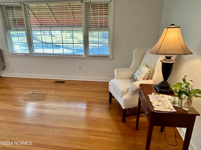 living area featuring wood-type flooring