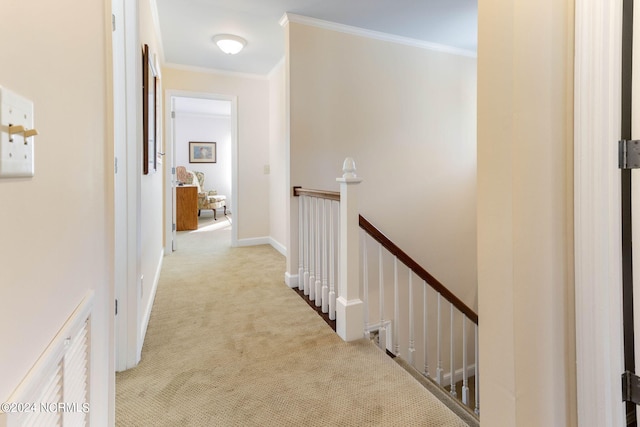 hall featuring ornamental molding and light colored carpet