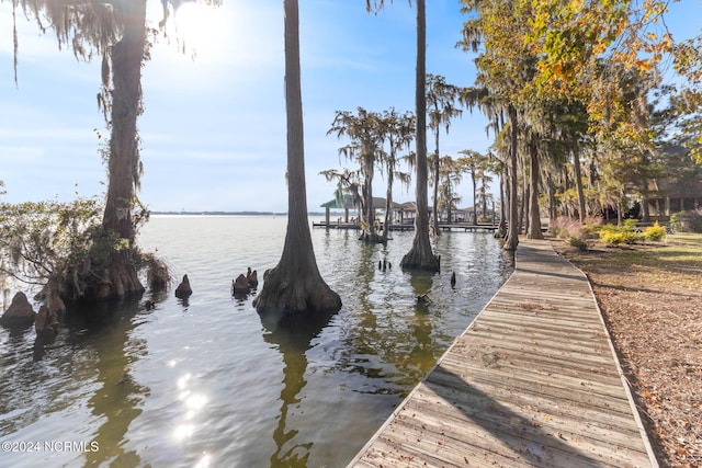 dock area with a water view