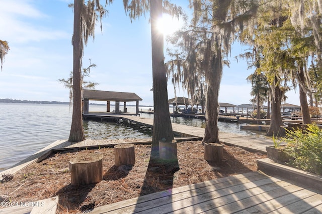 dock area with a water view