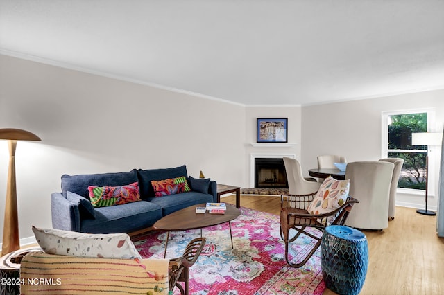 living room featuring light hardwood / wood-style floors and crown molding