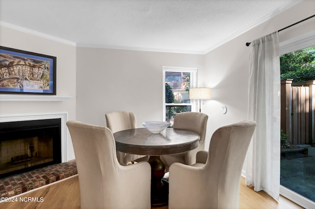 dining room with light hardwood / wood-style flooring, ornamental molding, and a healthy amount of sunlight