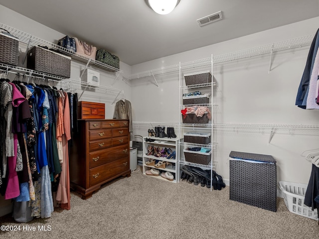 spacious closet with carpet floors