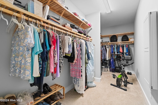 walk in closet with carpet flooring