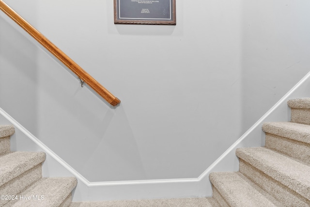 staircase with carpet flooring